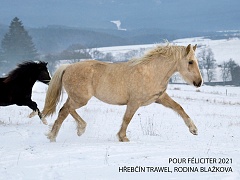 PF 2021