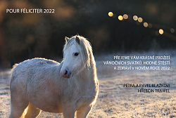 PF 2021