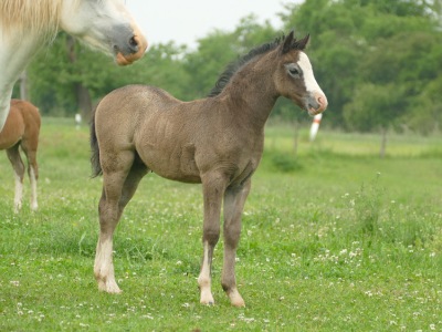 Trawel Marcus Aurelius