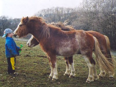 Trawel Athos