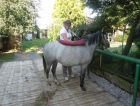 Klikni sem pro zvětšený obrázek 024.jpg