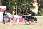 Klikni sem pro zvětšený obrázek 029.jpg