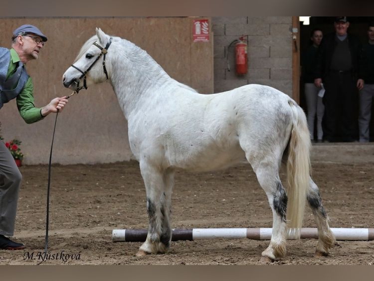 Trawel Marcus Aurelius
